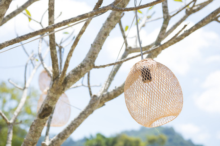 lanterns made of bamboo woven, outdoorの写真素材
