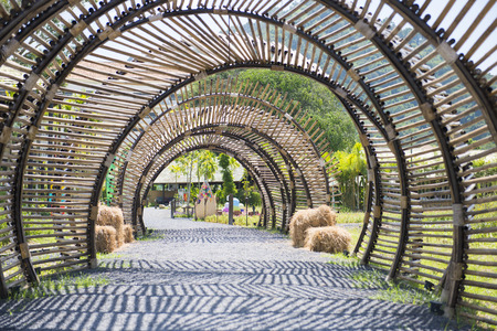 bamboo tunnel structure in garden, outdoorの写真素材