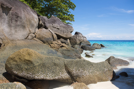 beautiful tropical similan island with clear water, Phang-nga, Thailandの写真素材