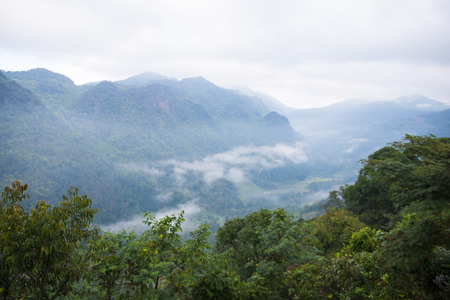 mountain landscape with the mist, nature