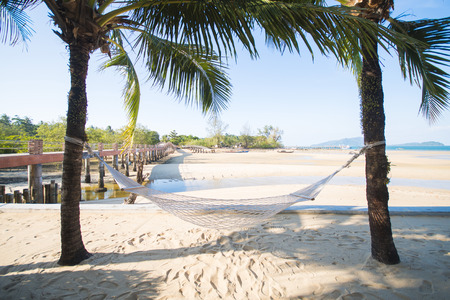 white hammock between two coconut on tropical beachの写真素材