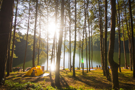 MAE HONG SON, THAILAND - JANUARY 1, 2016: tent under the pine forest and reservoir at Pang-ung on January 1, 2016, Mae Hong Son, Thailandのeditorial素材