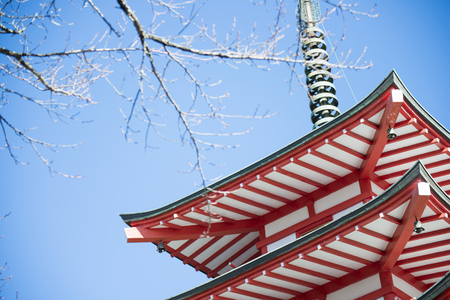 Chureito Pagoda view point in Japan , beautiful buildingの写真素材
