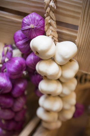 onion and garlic plastic model for decoration in restaurantの写真素材