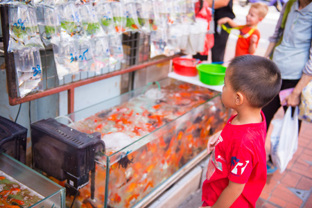 Mongkok, Hong Kong - September 24, 2016 : fish for sale in Goldfish market, Hongkong, Landmarkのeditorial素材