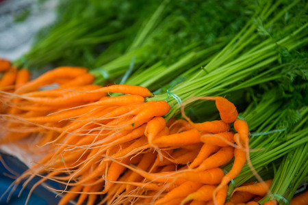 fresh baby carrots and leaf in market, vegetableの写真素材