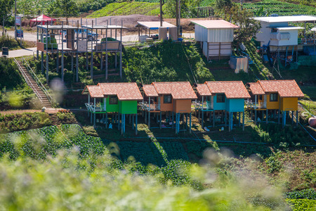 Petchabun , 29 November 2016 :: Small Home on the Mountain at Phu Tub Berk Mount , Thailandのeditorial素材
