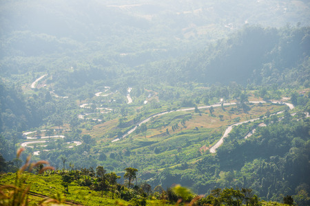 Road curve to Phu Tub Berk Mountain, Petchabun, Thailandの写真素材