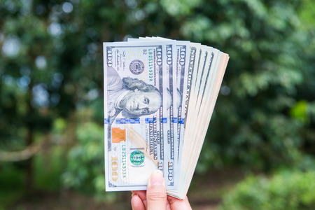 American dollars bank note in hand, cash