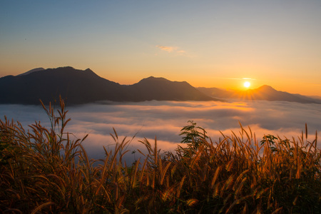 beautiful sunrise with mist in the morning at Phutok, Loei, Thailandの写真素材