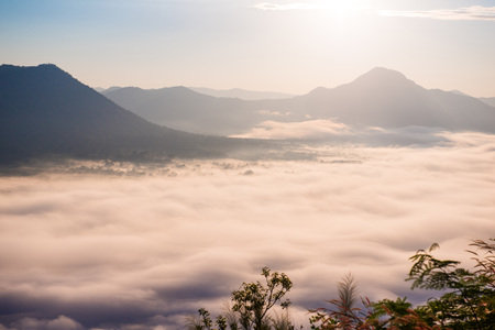 beautiful sunrise with mist in the morning at Phutok, Loei, Thailandの写真素材