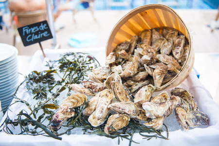 fresh raw oysters with ice in restaurant