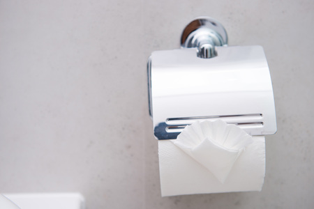 Tissue paper roll in bathroom, hygiene