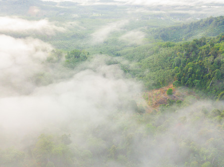 Landscape of misty mountain forest covered hills at khao khai nui, Phang-nga
