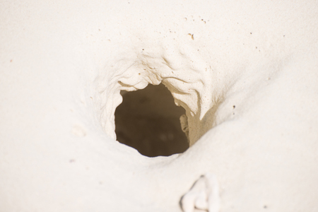 Crab's hole on the beach, natureの写真素材