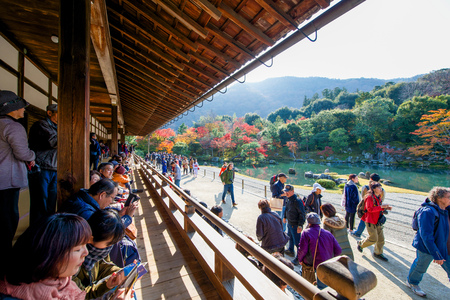 Kyoto, Japan - November 17, 2017 :Tourists visit zen garden in autumn season at Tenryuji temple,...
