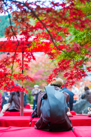 Kyoto, Japan - November 17, 2017: A man sitting at Tea garden in autumn of seasonal foliage at...