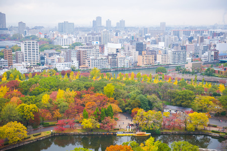 Beautiful landscape with autumn leaves of Osaka city view from the castle のeditorial素材