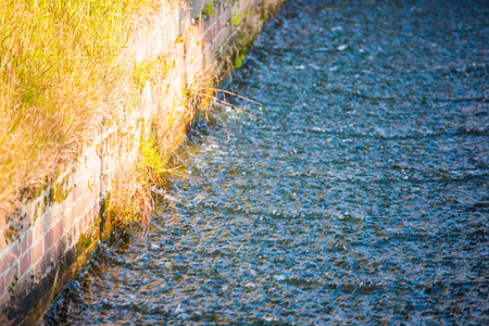 The water trough or moat for irrigation, drainの写真素材