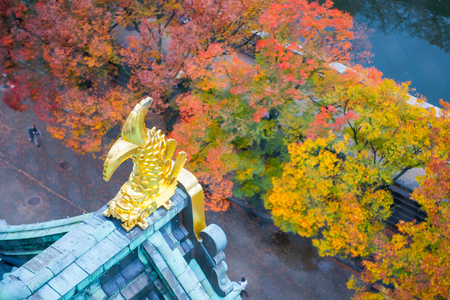 Gold Japanese fish statue on the top in Osaka Castle, landscape with autumn leaves of Osaka cityのeditorial素材