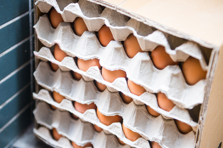 Fresh eggs in paper tray, food