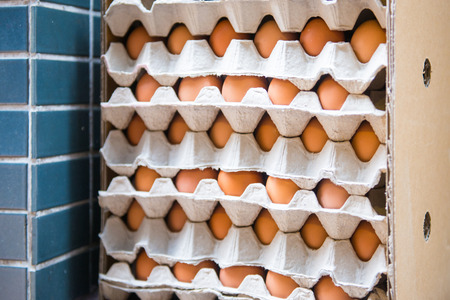 Fresh eggs in paper tray, foodの写真素材