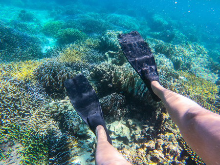 diver is wearing black fin for diving,seaの写真素材