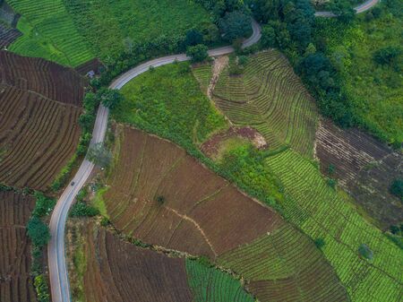 bird eye viewâs roadway on the mountain,streetの写真素材
