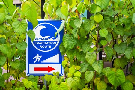 Tsunami evacuation route sign at hotel,warning signの写真素材