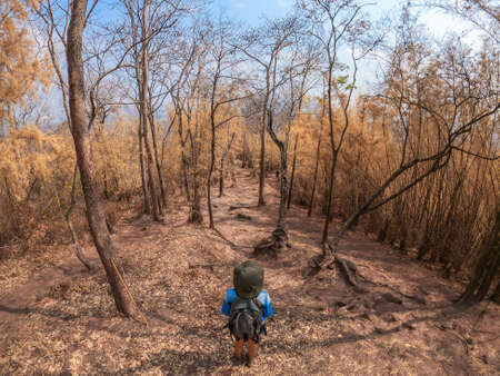 26 January 2020 - Leoi : traveler trekking to Phu Kradueng Mountain,Thailandのeditorial素材