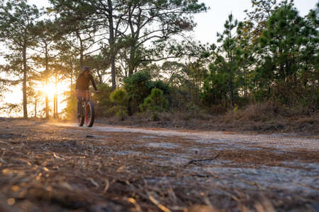 27 January 2020 - Thai : traveller is ride a bicycle for sightseeing in forest, Phu Kradueng Loeiのeditorial素材