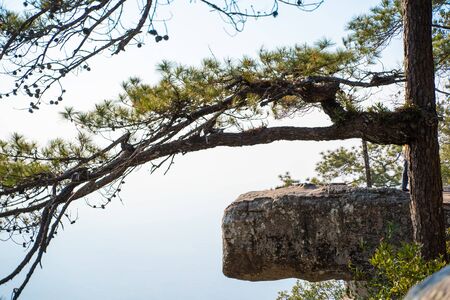 Lom Sak clift sunset viewpoint at Phukradueng,Thailandの写真素材