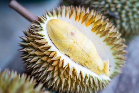 riped durian ready to eat fresh from garden,fruitの写真素材