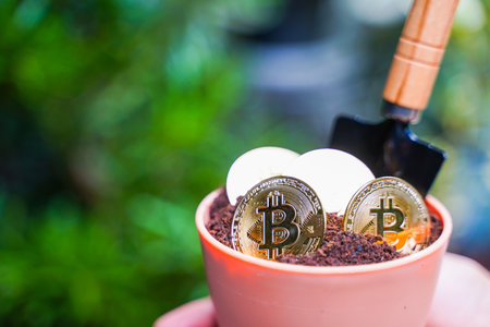 bitcoin mining digital currency for future world,cryptocurrencyの写真素材