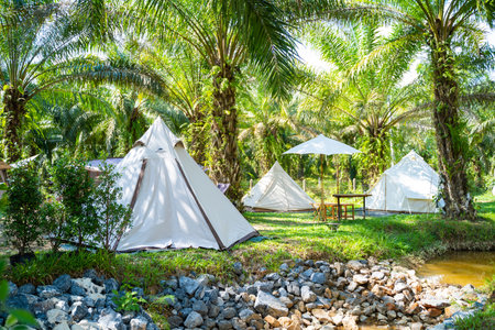pitch a tent for camping in the garden,camping