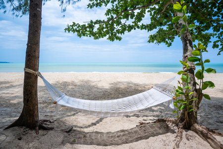 Hammock between two trees on the beachの写真素材