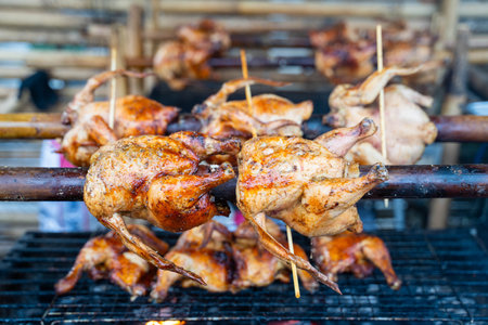 Grilled Whole Marinated Chicken Recipe,grilled chickenの写真素材