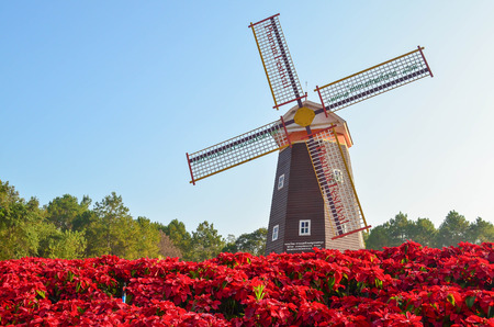 PHU RUA windmill in THAILANDの写真素材