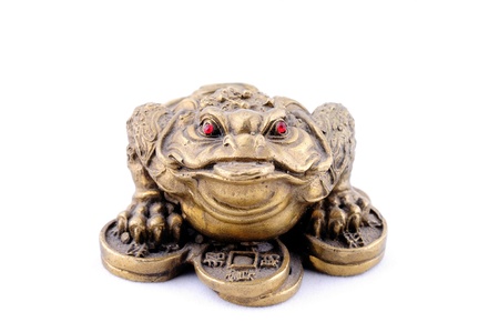 3 Legged Toad on a Bed of Coinsの写真素材