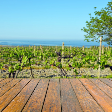 Empty wooden table for product presentation. In the background blurred vineyardの写真素材
