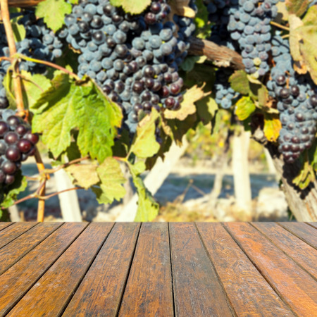 Empty wooden table for product presentation. In the background blurred vineyardの写真素材