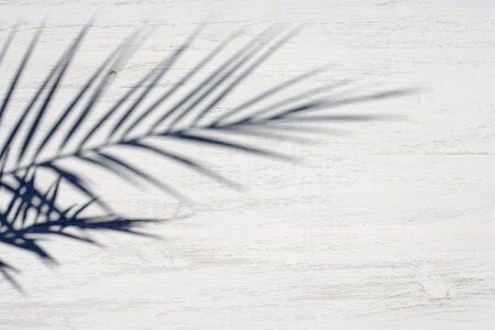The shadow of the palm branch on a white wooden surface