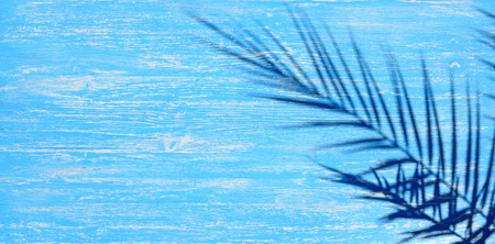 The shadow of the palm branch on a blue wooden surfaceの写真素材