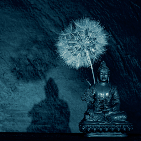 Buddha and dandelion flower as black and white zen backgroundの写真素材