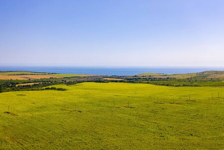 Agricultural landscape with a large sunflower field on the Mediterranean coast. Aerial drone shotの写真素材