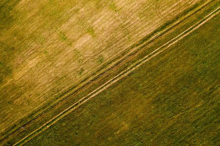 Young grass on the agricultural field, after the snow melt. On the field visible traces of...