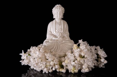White Buddha framed by white lilac flowers on a black background with reflectionの写真素材