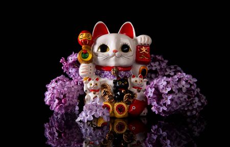 Japanese symbol of good luck maneki neko cat framed by pink lilac flowers on a black background with reflectionの写真素材