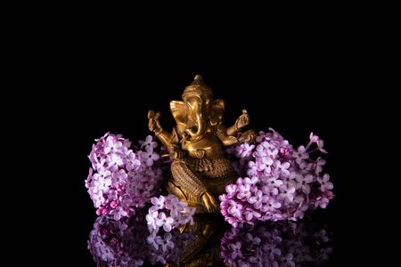 Hindu God Ganesha framed by pink lilac flowers on a black background with reflectionの写真素材
