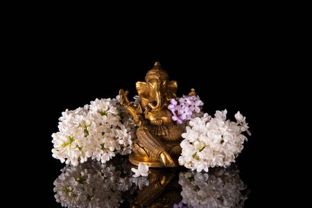 Hindu God Ganesha framed by white lilac flowers on a black background with reflectionの写真素材